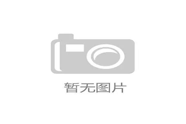 2026美加墨世界杯冠军球队的战术特点与成功秘诀揭秘
