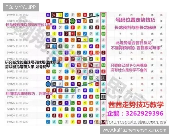 押庄龙虎如何选择押注策略，实用技巧助你稳赢