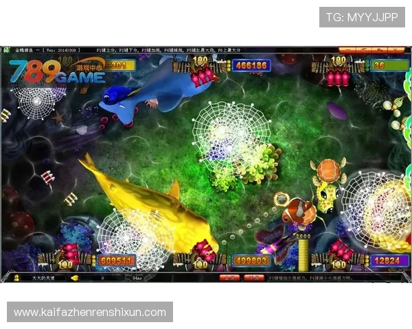 凯发金鲨银鲨:节省时间提升胜率的实用技巧分享